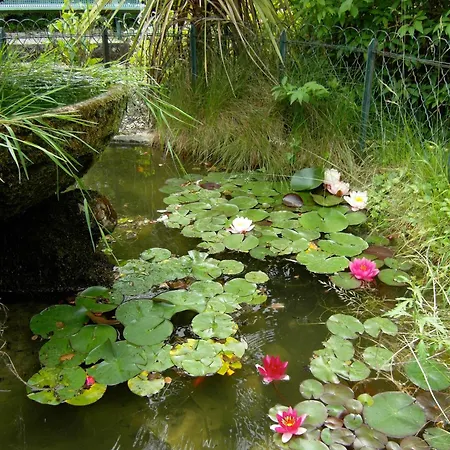 Hotel Logis Le Miramont Argeles-Gazost
